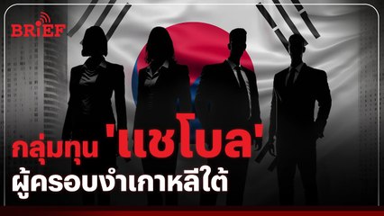 กลุ่มทุน 'แชโบล' ผู้ครอบงำเกาหลีใต้ | #beartaiBRIEF