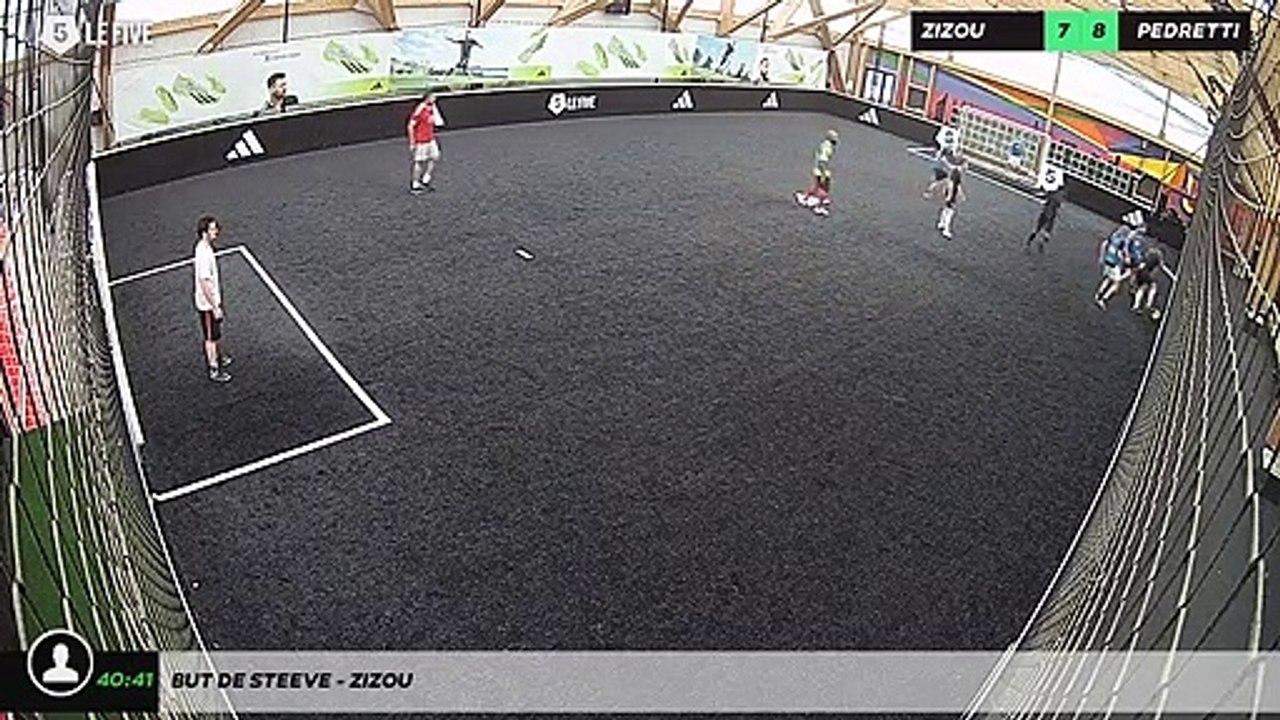 But de steeve - zizou