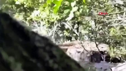 Eskişehir'de Define Kazısı Yapan 5 Şüpheli Yakalandı