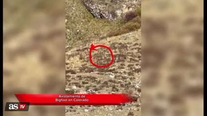 Bigfoot spotting in Colorado?
