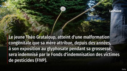 Exposition prénatale au glyphosate : l’avis mal compris du Fonds d’indemnisation des victimes de pesticides