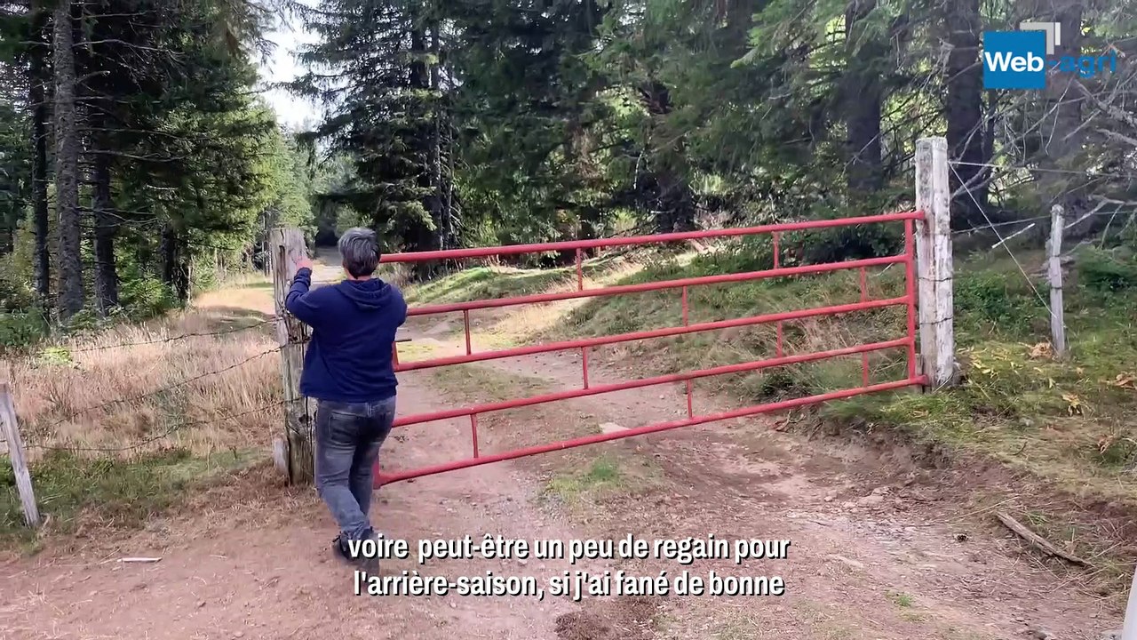 Nathalie Grégoire nous emmène voir ses vaches en estive