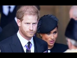 Il principe Harry sta vivendo un "tempo molto solitario" nei panni del duca che ha "visto il costo"