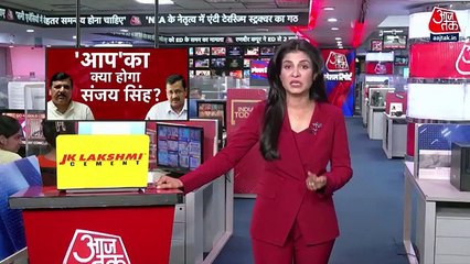 What arguments Sanjay Singh's lawyer & ED gave in the court?