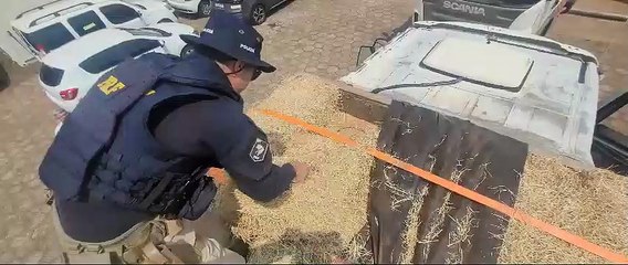 PRF apreende caminhão com carga de cigarros paraguaios vindos de Umuarama