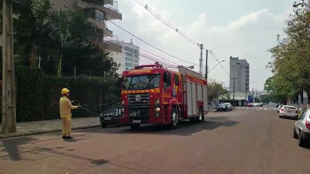 Corpo de Bombeiros é mobilizado para realizar poda de árvore na rua Osvaldo Cruz