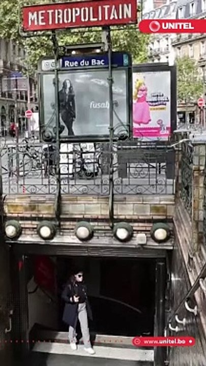 Alerta en varias ciudades del mundo por la plaga de chinches, pequeños insectos que pueden provocar enfermedades