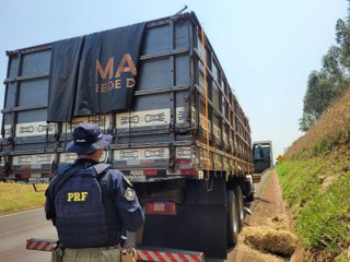 PRF encontra carga de contrabando escondida sob palha no Paraná; veja