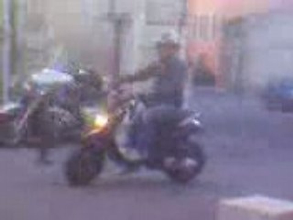 un manifique cabre en scoot