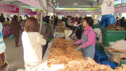 '건강하삼·휼륭하우' 2023 홍천 인삼·한우 명품 축제 개막 / YTN