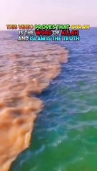 ALLAH is the creator of world 