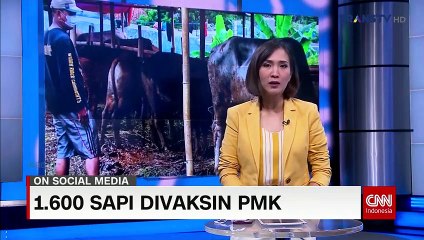 SAFANA 18 (Rerun)