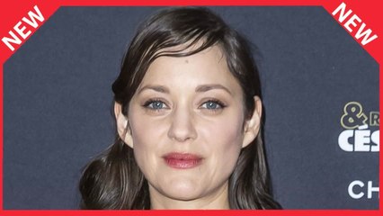 ✅  Marion Cotillard : cette rare confidence sur sa vie de maman