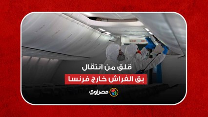 بق الفراش .. إجراءات صارمة لمنع انتقاله من فرنسا لدول الجوار