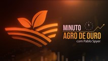 Milho e trigo em alta, novos mercados e exportações de amendoim disparam | Minuto Agro de Ouro 07/10