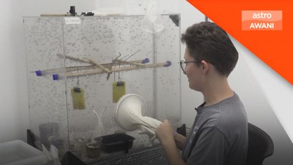 Denggi bakal jadi ancaman terbesar di Eropah, AS