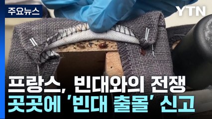 내년 파리 올림픽 앞둔 프랑스 '빈대와의 전쟁' / YTN