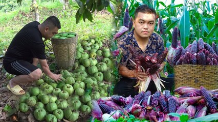 FULL VIDEO : 120 days Harvesting farm produce and wild fruits go to the market sell | Ha Van Tu