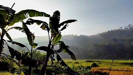 pemandangan di pagi hari