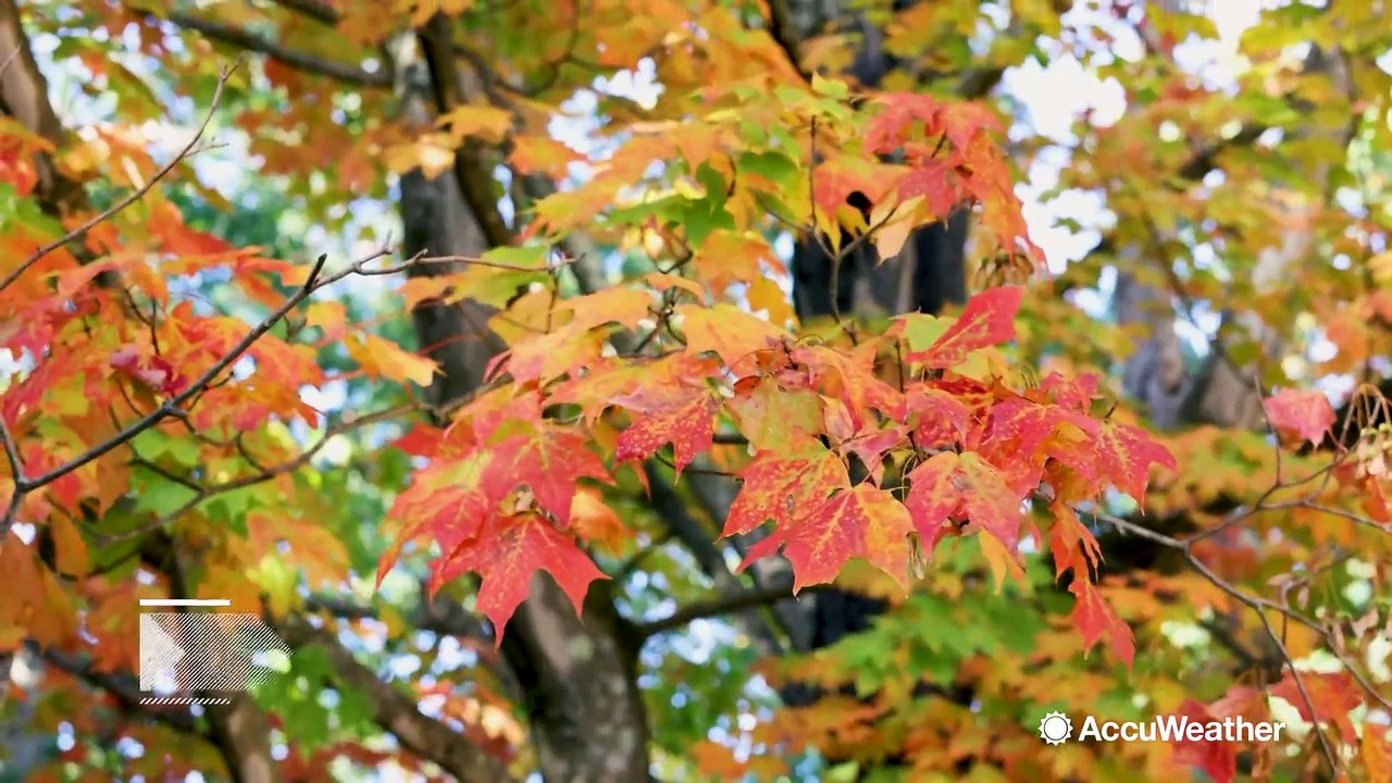 How to avoid catching the flu this fall - video Dailymotion