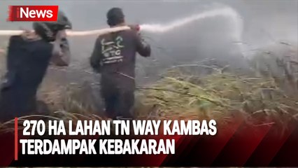 Kebakaran 270 HA Lahan TN Way Kambas, Polisi Duga Ada Unsur Kesengajaan