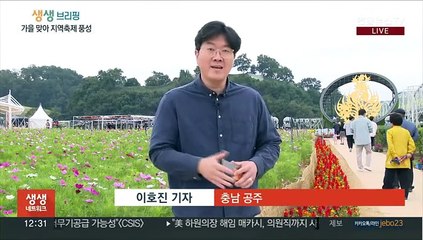 지방소멸 시대 '생활인구'를 잡아라…해법은 지역축제