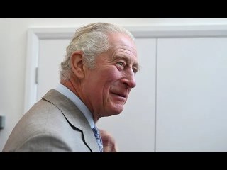 'He's up for it!' Prince Charles shuts down calls for William takeover with 'great asset'