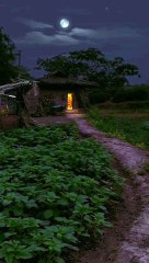 The evening atmosphere, in the countryside.