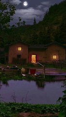 Night Nature, "Village Vibes: The Rustic Charm of Rural Life"