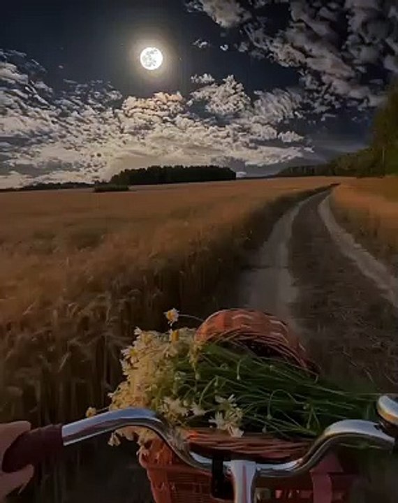 A Moonlit Bike Ride Adventure