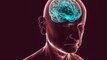 FDA Approves Promising New Alzheimer’s Drug Leqembi
