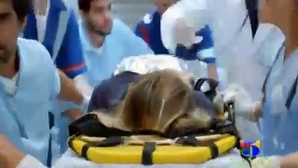 apocalipsis capítulo 83 en español