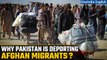 Pakistan Deporting Afghans| Action against Illegal Migrants| What does it mean| Oneindia News