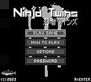 Ninja Twins online multiplayer - gb