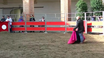 03.11.19 St Sever Cloitre Auberge Espagnole Bétail JL Deyris La passion de toréer Capea Inter Penas  4e Sortie