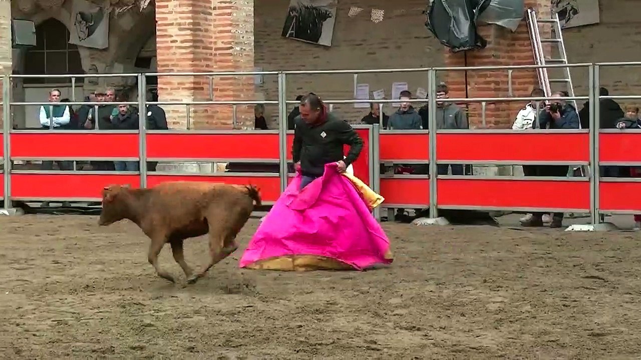 03.11.19 St Sever Cloitre Auberge Espagnole Bétail JL Deyris La passion de toréer Capea Inter Penas  3e Sortie