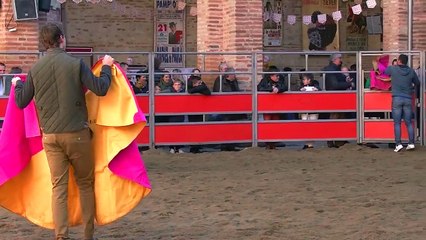 04.11.18 St Sever Jacobins Aubergne Espagnole Bétail JL Deyris 3e Sortie  la Bîche et  la peña taurine de Garlin