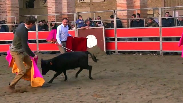 04.11.18 St Sever Jacobins Aubergne Espagnole Bétail JL Deyris 5e Sortie Eternel Fandino d'Aire et St Jean de St Sever