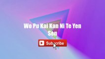 Wo Pu Kai Kan Ni Te Yen Sen - Su Juei Ah Bee #lyrics #lyricsvideo #singalong
