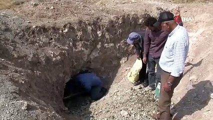 Sivas'ta yer altından çıkarılıyor, oldukça rağbet görüyor: Köylünün adeta ekmek kapısı!