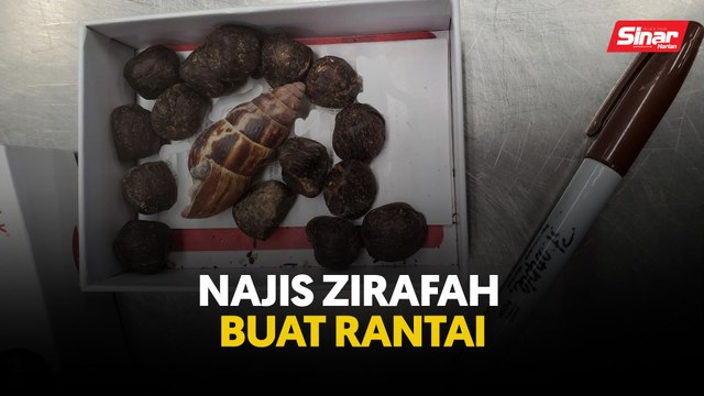 Najis zirafah buat rantai