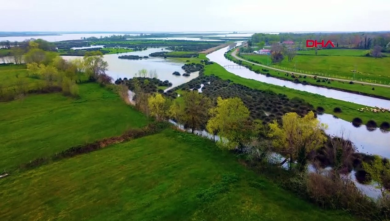 Kızılırmak Deltası Kuş Cenneti UNESCO'nun kalıcı listesine alınmak için çalışıyor