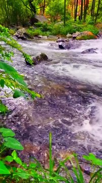 Water Flowing | Relaxing Water Flowing 02 | Water Sound | Amazing Scenery