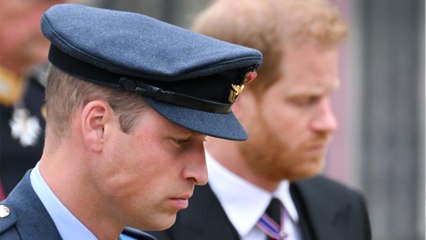 GALA VIDÉO - Harry et William : un de leurs amis condamné pour port d’arme