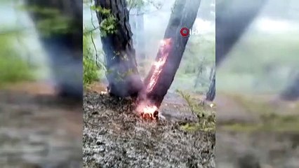 Burdur'daki Karanlıkdere Kanyonu'ndaki Yangın Yeniden Başladı