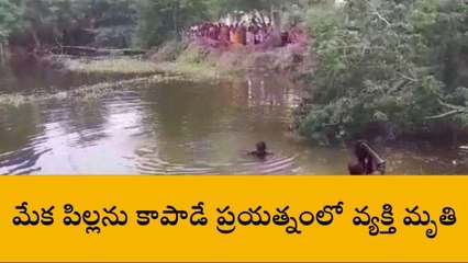 గుంటూరు జిల్లా: మేక పిల్లను కాపాడే ప్రయత్నంలో వ్యక్తి మృతి