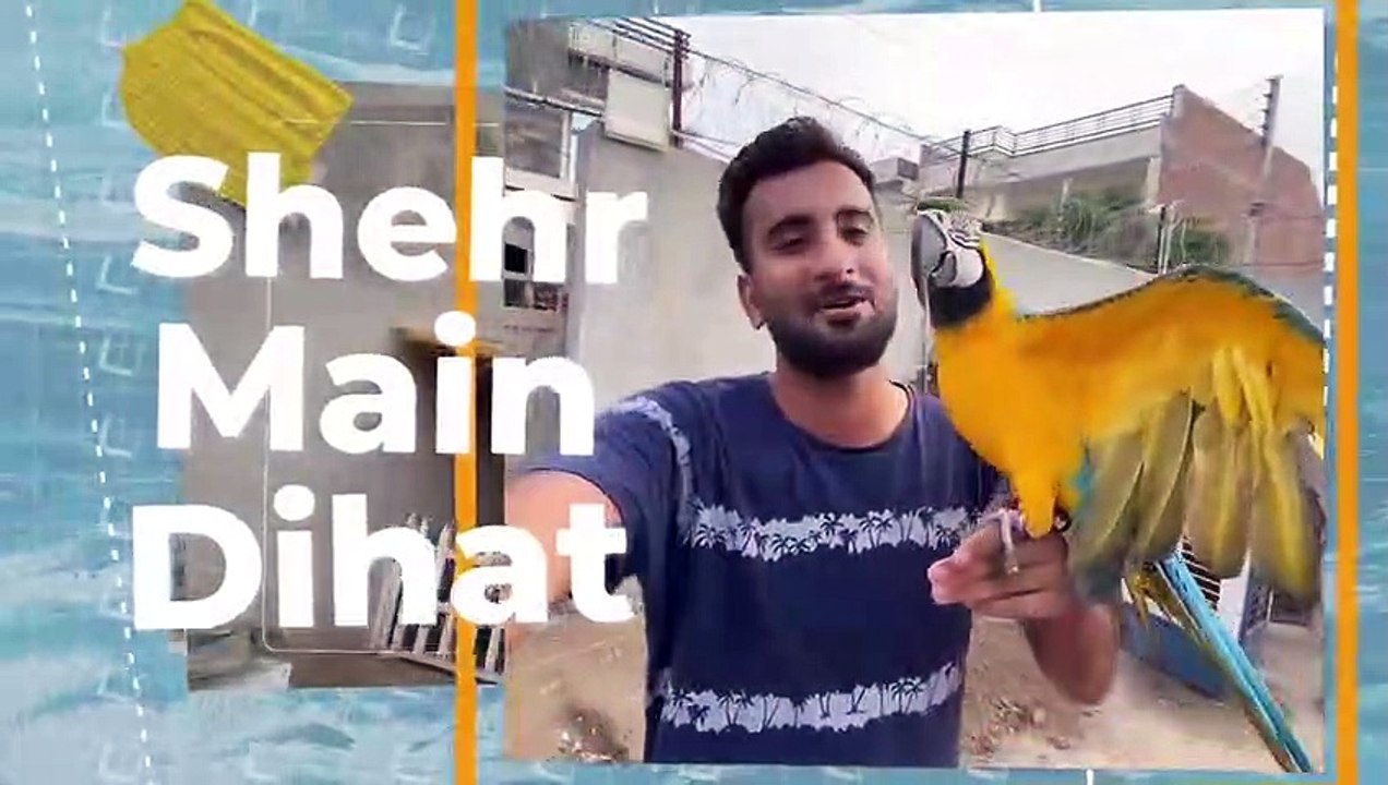 Aj Scar Ko Mini Zoo Main Azad Chor Dia
