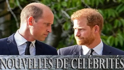 Harry et William  :un de leurs amis condamné pour port d’arme