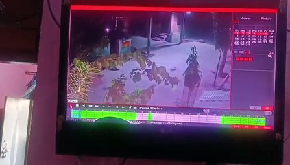आधी रात बदमाशों ने इस कदर किया वाहनों पर पथराव...!