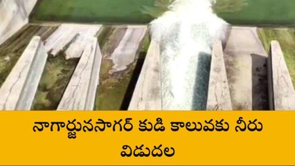 పల్నాడు: నాగార్జునసాగర్ కుడి కాలువకు నీరు విడుదల
